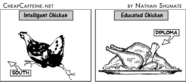 #19 A Comparison