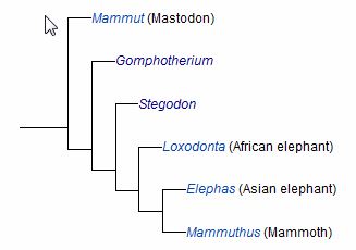 2014-01-24 05_59_49-Mammoth - Wikipedia, the free encyclopedia